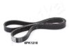 ASHIKA 112-6PK1210 V-Ribbed Belts